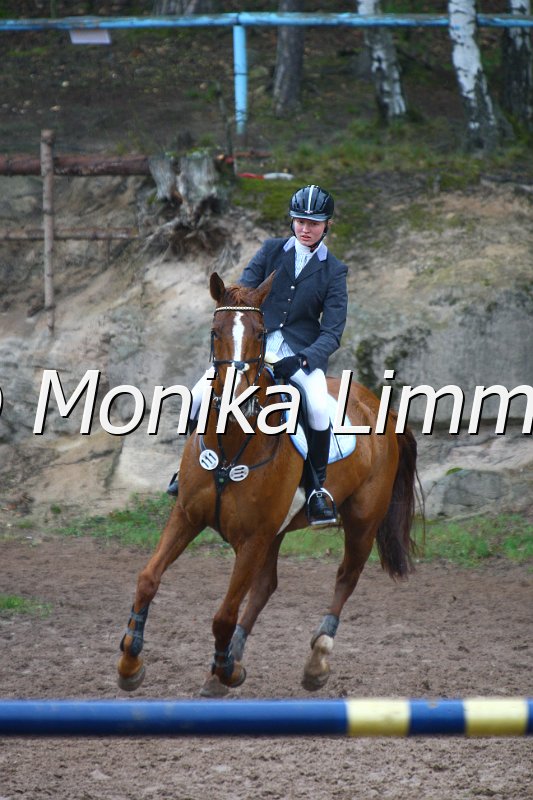 005L4294_Fine_Spring A_R-IQ Cup.JPG